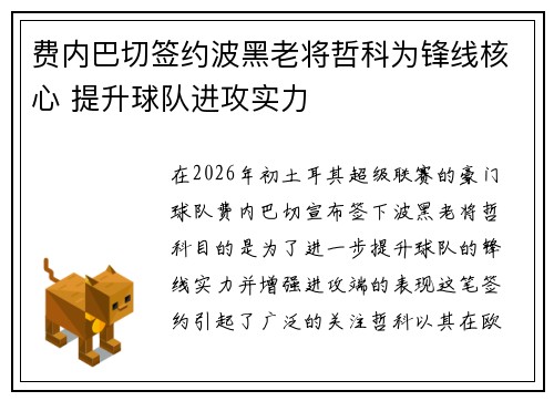 费内巴切签约波黑老将哲科为锋线核心 提升球队进攻实力